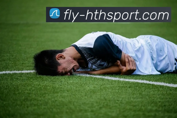 hth体育平台生态图