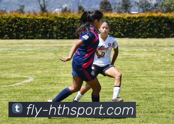 hth体育APP 封面图